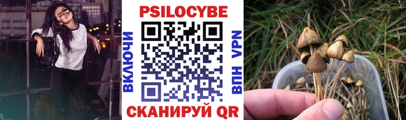 Купить где  Задонск  Псилоцибиновые грибы GOLDEN TEACHER 